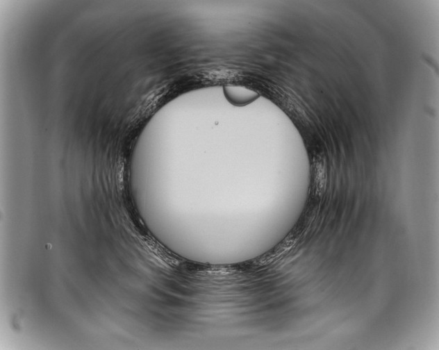 X0000098040668200803281433