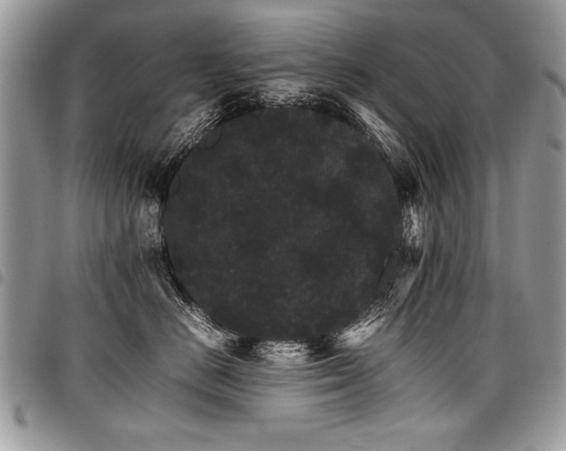 X0000098040670200803281433