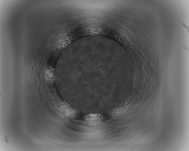 X0000098040672200803281433