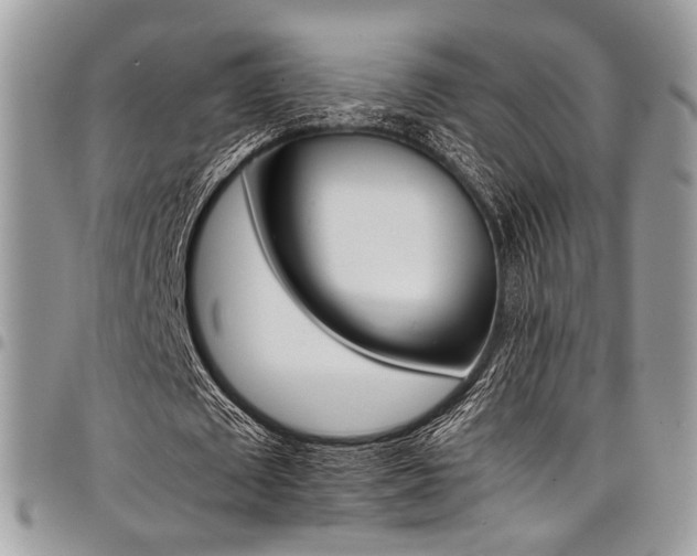 X0000098040673200803281432