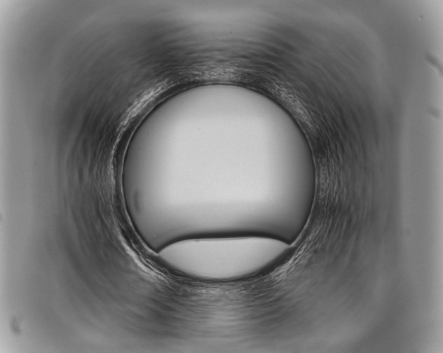 X0000098040674200803281432