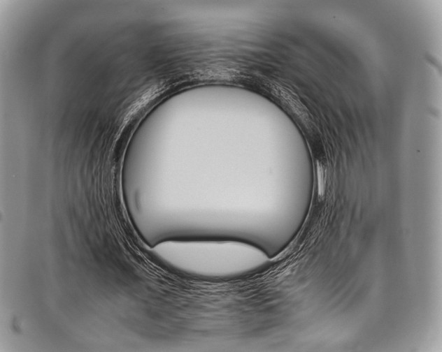 X0000098040675200803281432