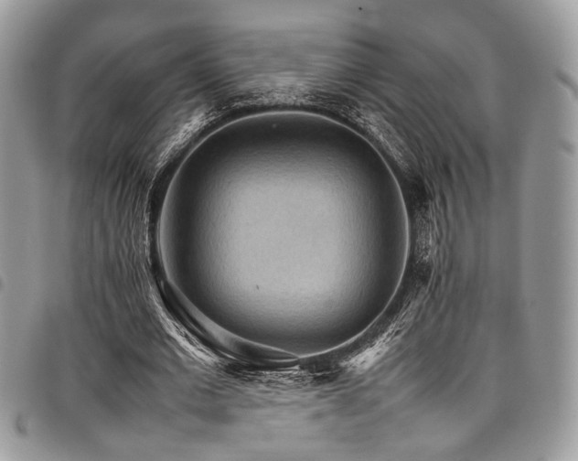 X0000098040677200803281432