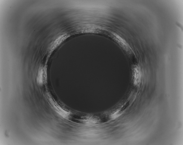 X0000098040678200803281432