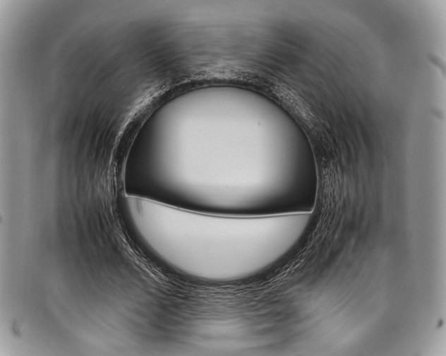 X0000098040680200803281432