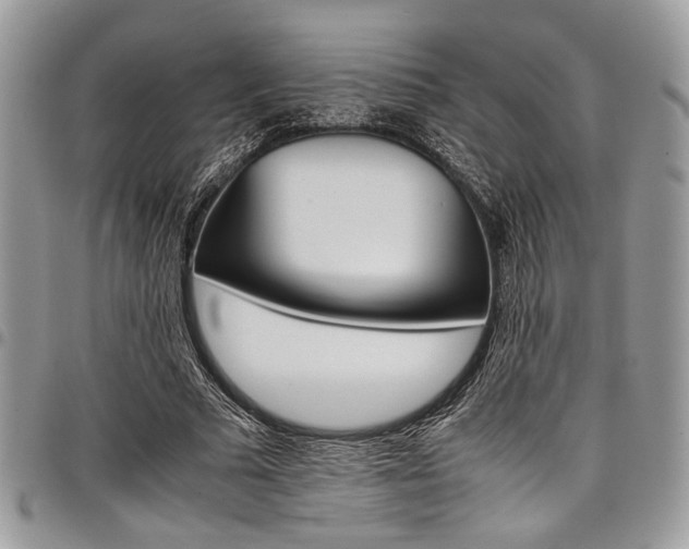 X0000098040681200803281432