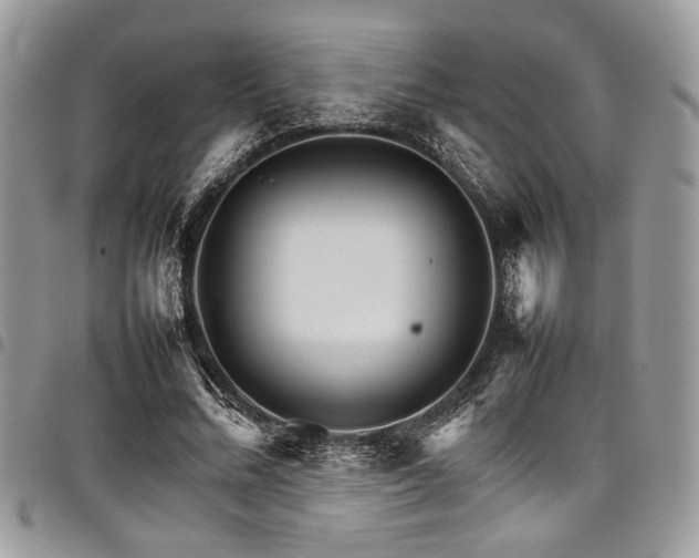 X0000098040684200803281432