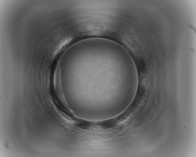 X0000098040685200803281432