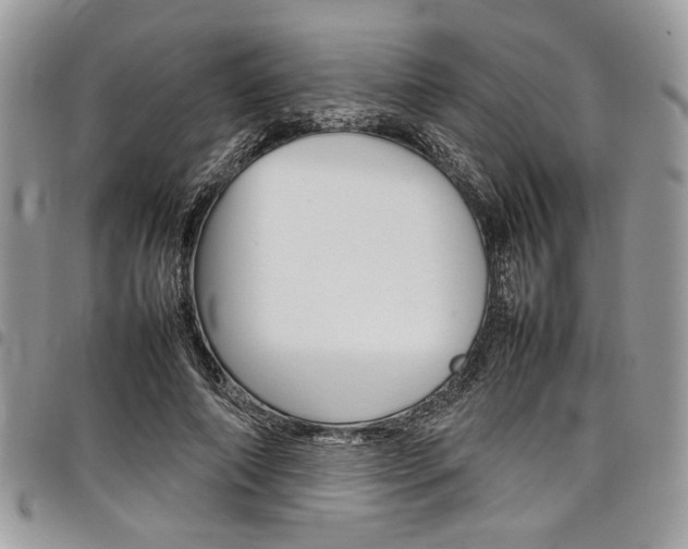 X0000098040690200803281432