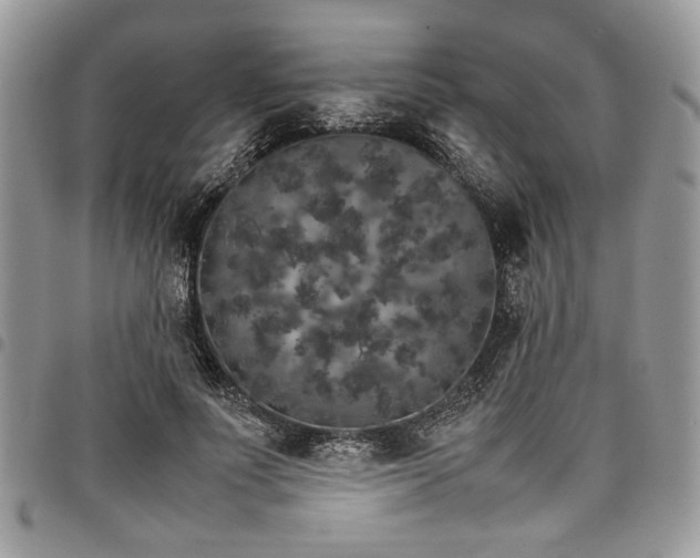 X0000098040691200803281432
