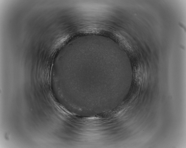 X0000098040692200803281432