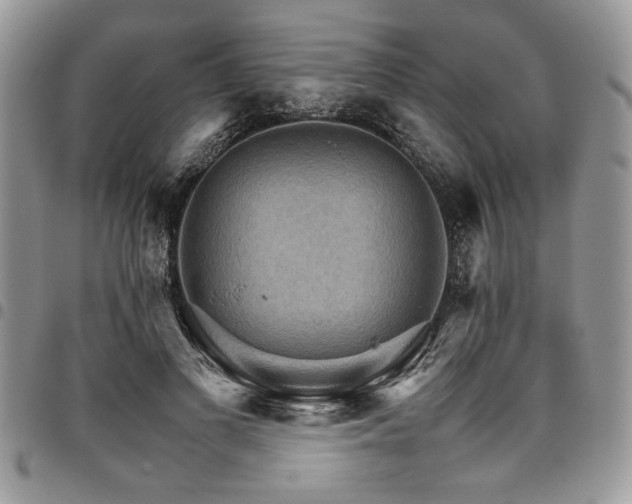 X0000098040693200803281432