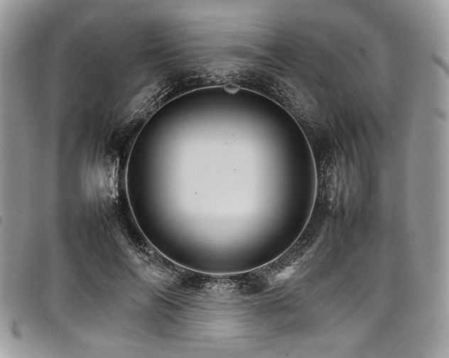 X0000098040694200803281432