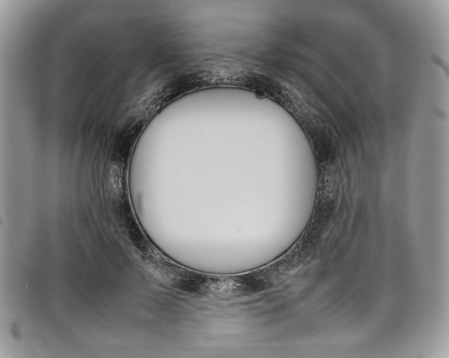 X0000098040695200803281432