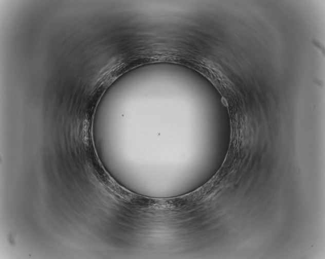 X0000098040696200803281432