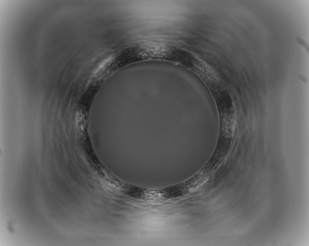 X0000098040701200803281432