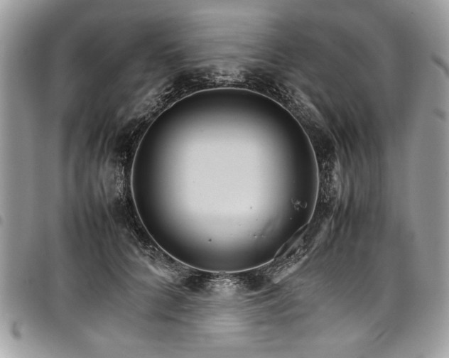 X0000098040704200803281432