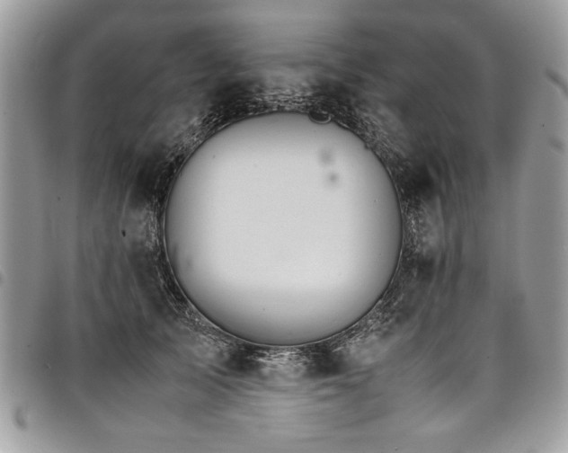 X0000098040705200803281432