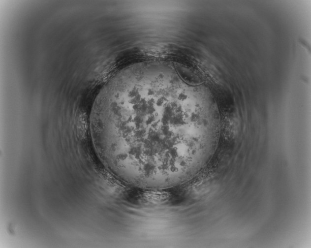 X0000098040707200803281432