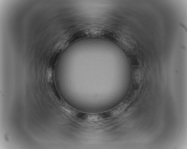 X0000098040709200803281432
