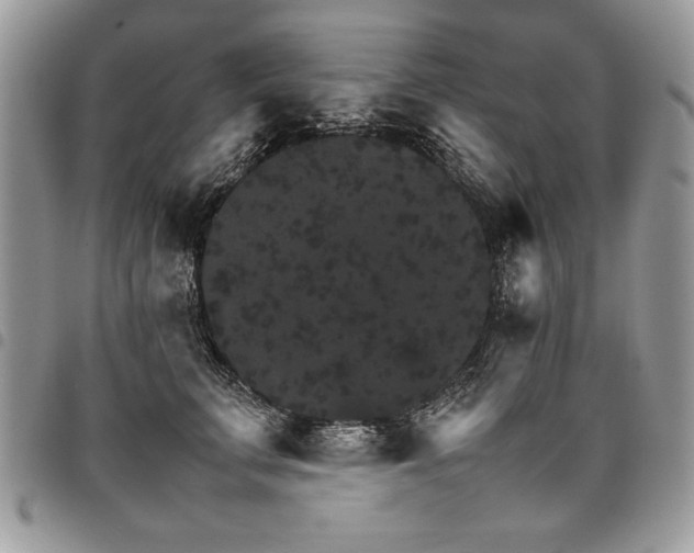 X0000098040711200803281432