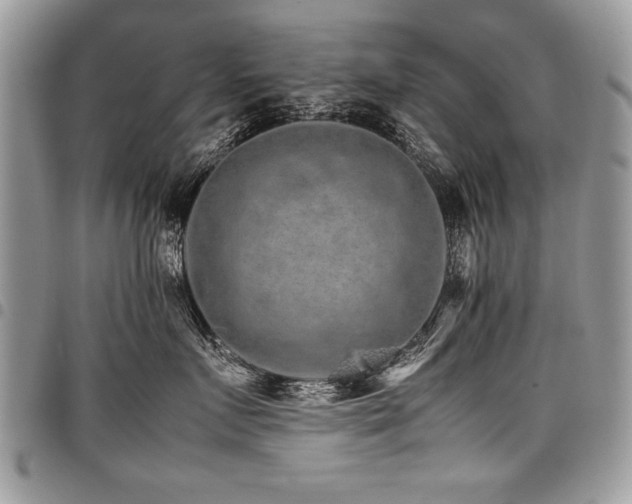 X0000098040719200803281432
