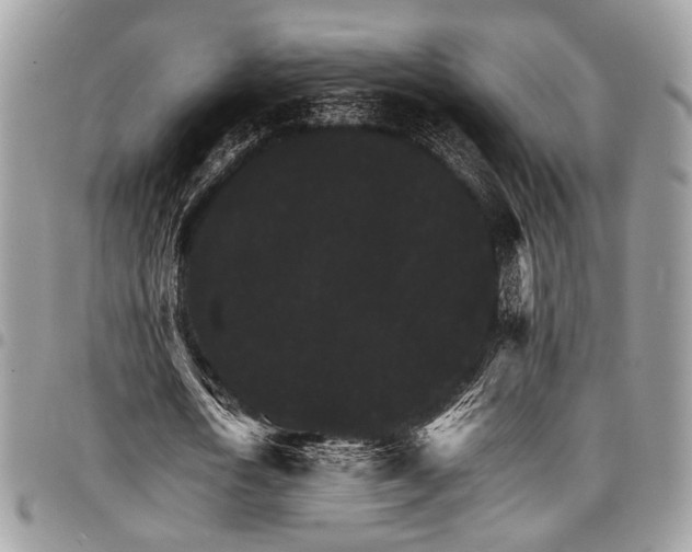 X0000098040722200803281431