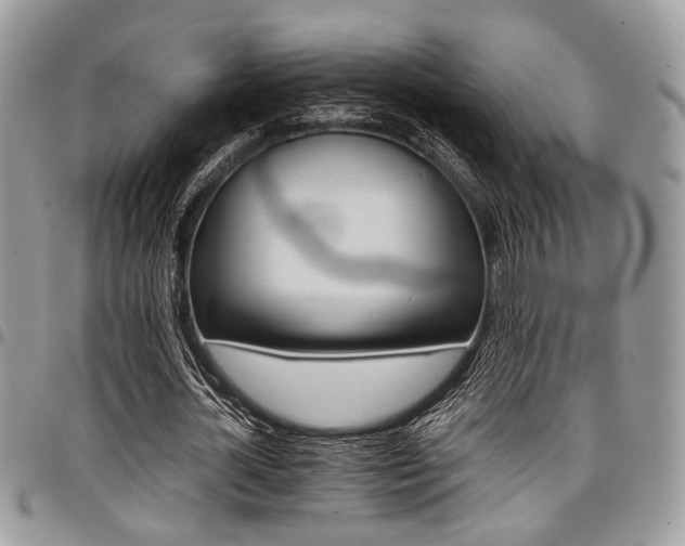 X0000098040724200803281431