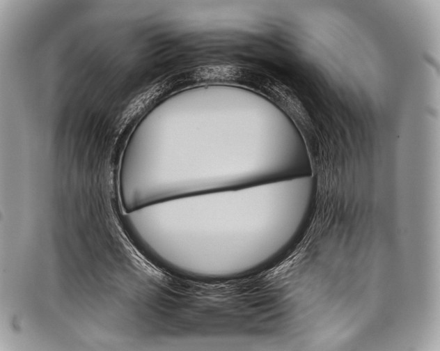 X0000098040725200803281431