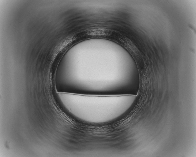 X0000098040727200803281431