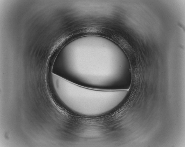 X0000098040728200803281431