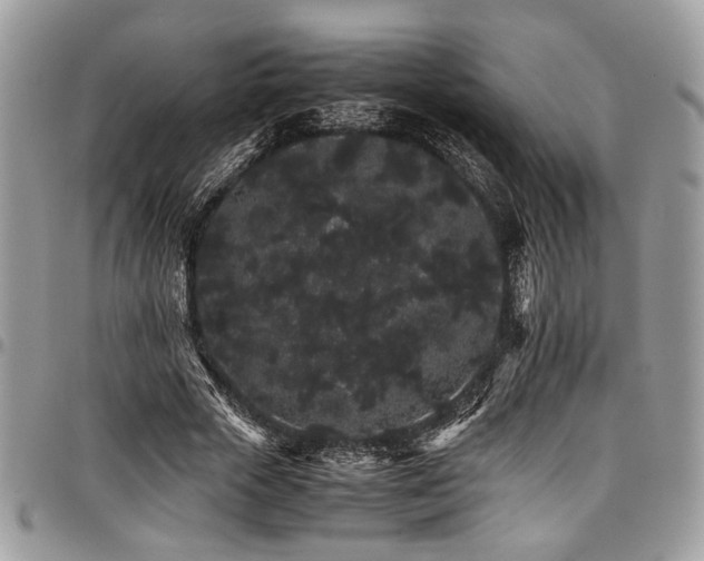 X0000098040729200803281431