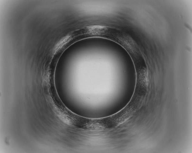 X0000098040730200803281431