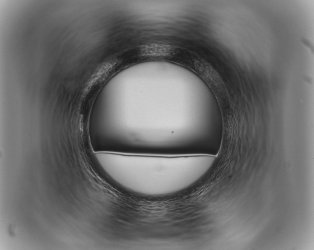 X0000098040731200803281431