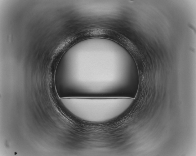 X0000098040732200803281431