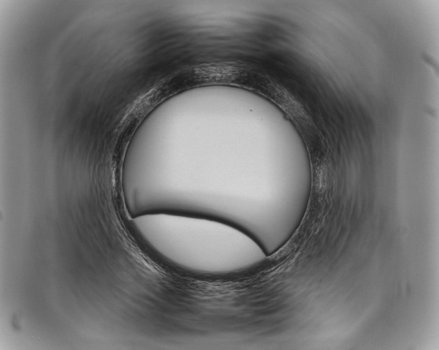 X0000098040733200803281431