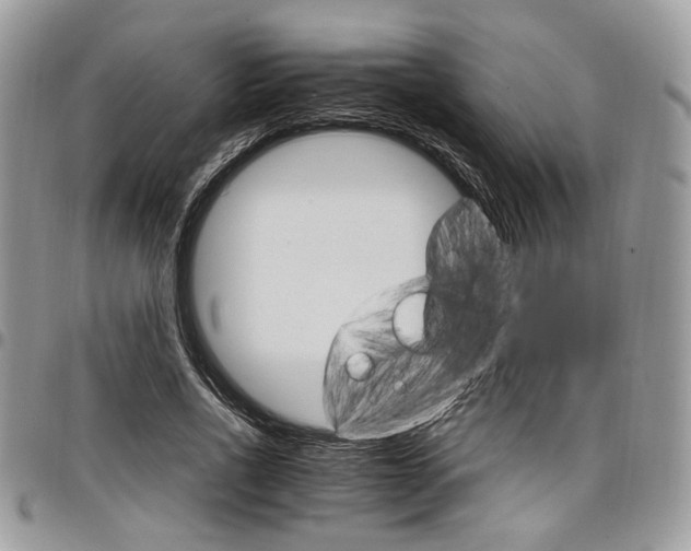 X0000098040734200803281431