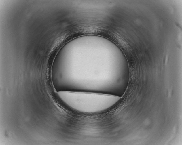 X0000098040736200803281431