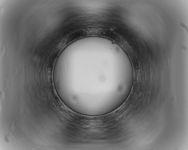 X0000098040737200803281431