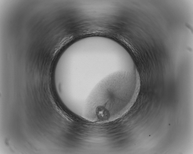 X0000098040738200803281431