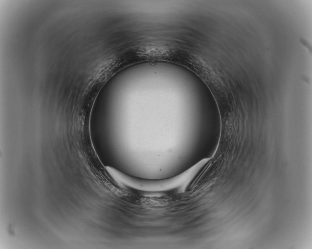 X0000098040739200803281431