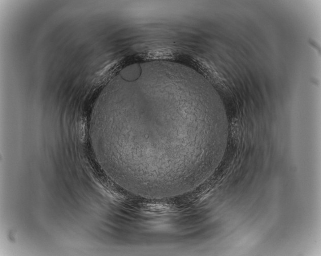 X0000098040741200803281431