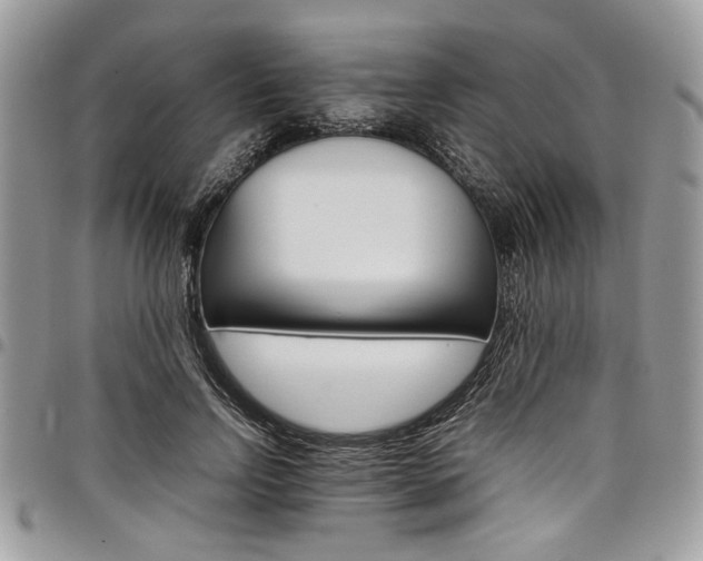 X0000098040742200803281431