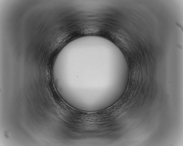 X0000098040743200803281431