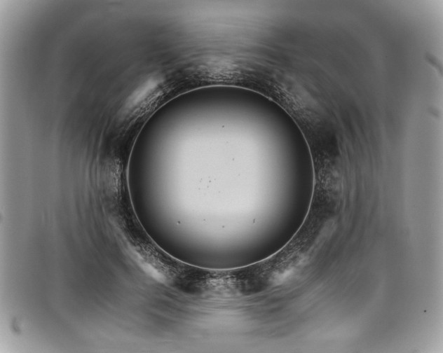 X0000098040744200803281431
