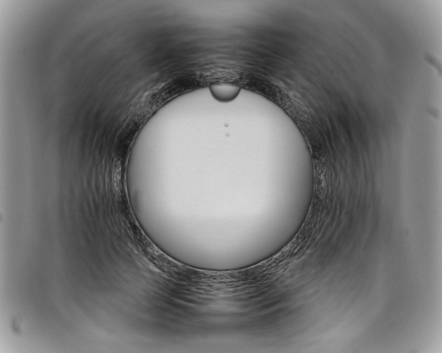 X0000098040745200803281431