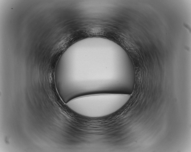 X0000098040746200803281431