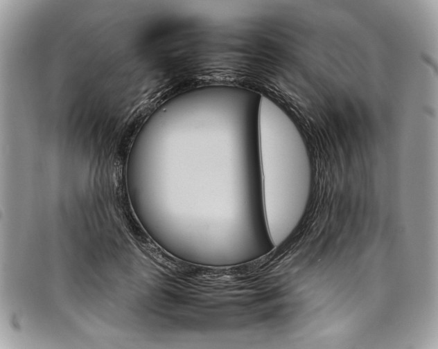 X0000098040747200803281431
