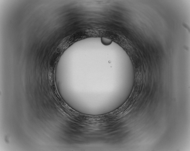 X0000098040749200803281431