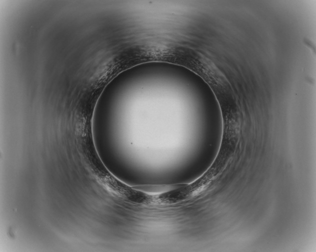 X0000098040750200803281431